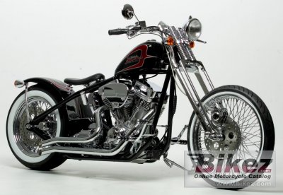 2011 Covingtons Speed Demon photo